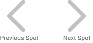 Previous & Next Spot Arrows